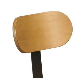 Backrest Accessory for the Adjustable Lab Stool