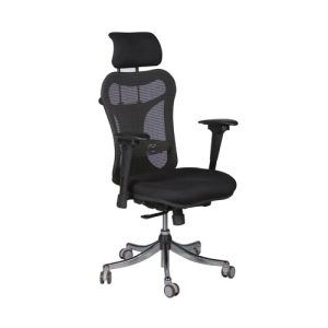 Ergo Ex Chair