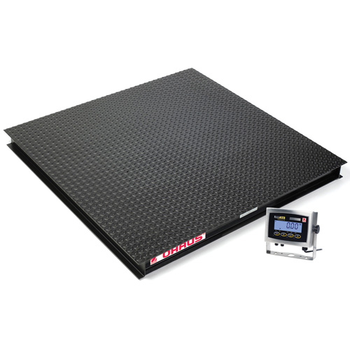 Floor Scales