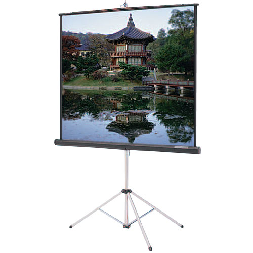 Portable Projection Screens