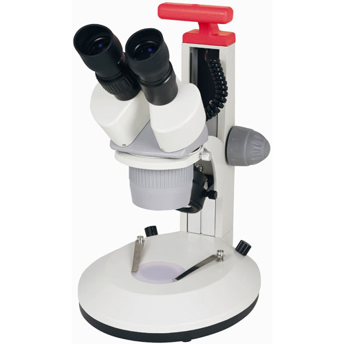 Stereo Microscopes